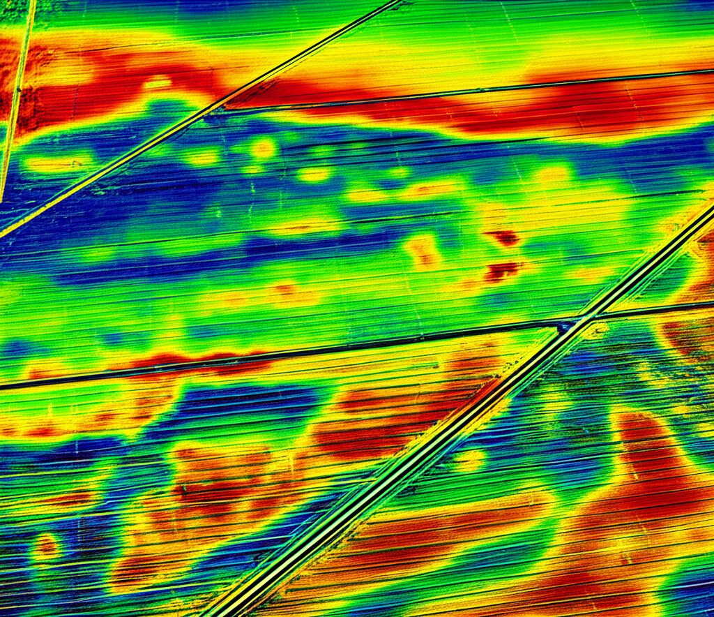 Fieldstone Bio Harnesses Microbes to Detect Environmental Threats and More